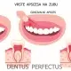 Zubni apsces - Dentus perfectus