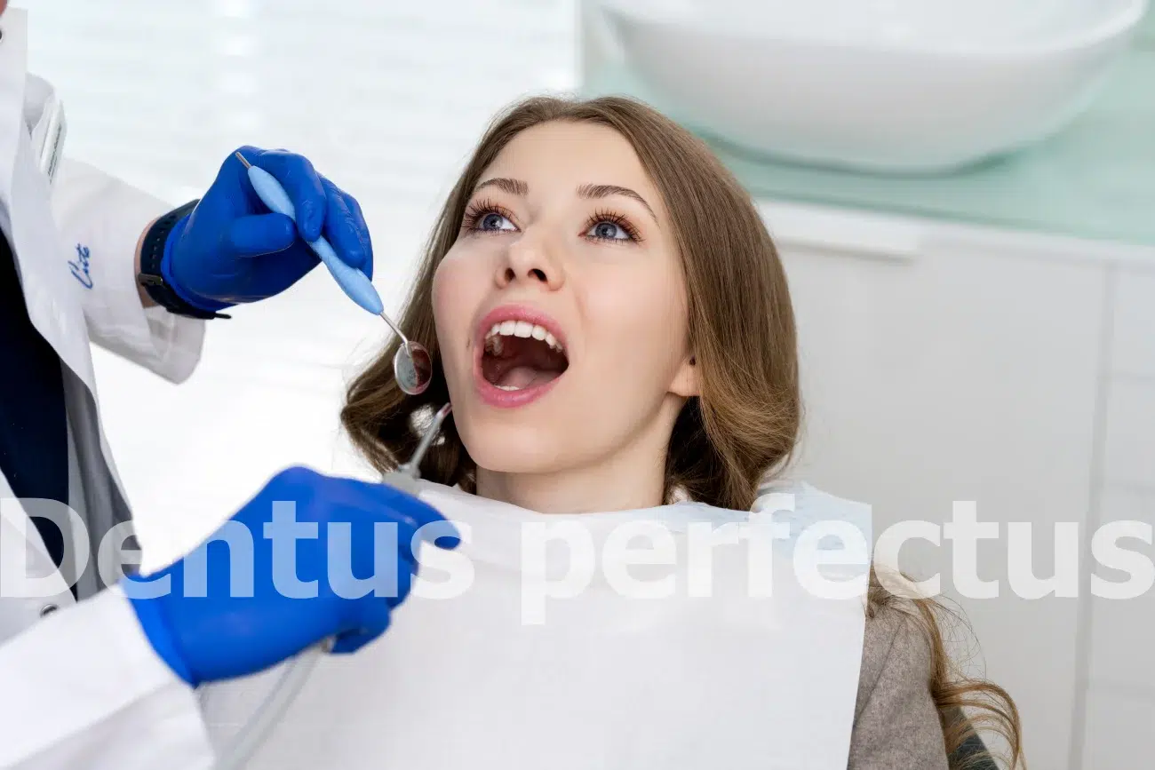 Patient during a dental exam in Dentus perfectus dentistry Patient during a dental exam in Dentus perfectus dentistry